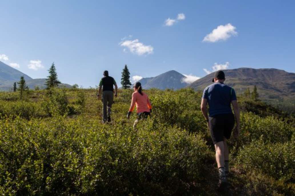 Traverse Alaska