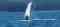 Glacier Wind Charters