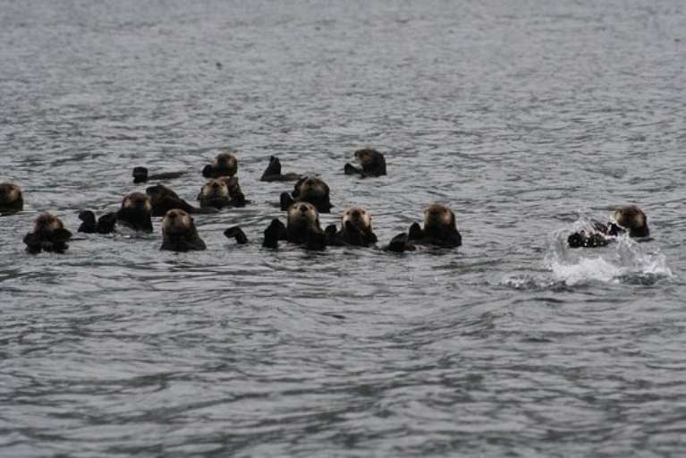 Highliner Lodge and Fishing Charters