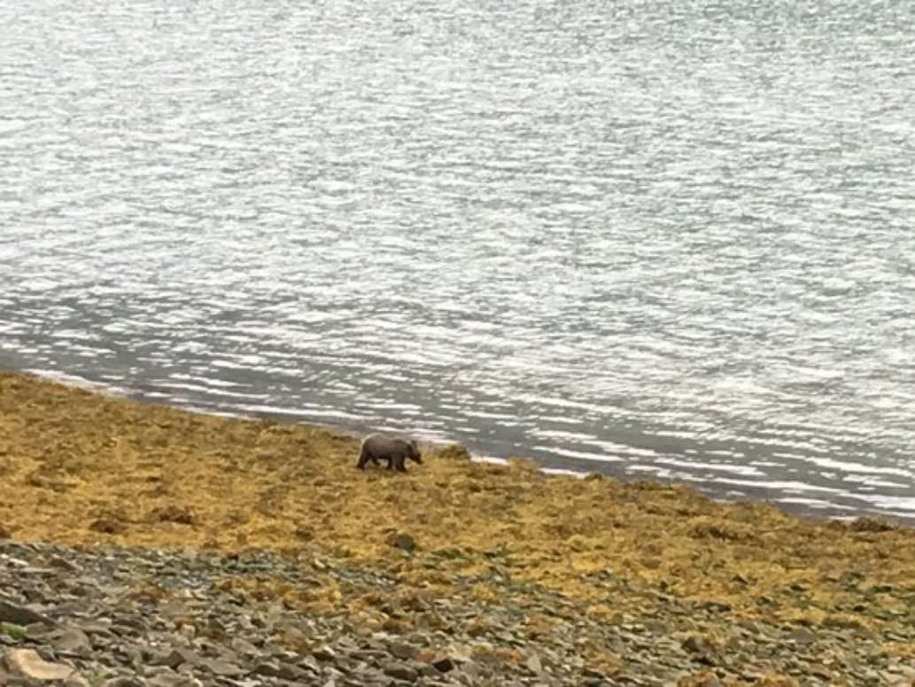 Chilkoot Lake Tours