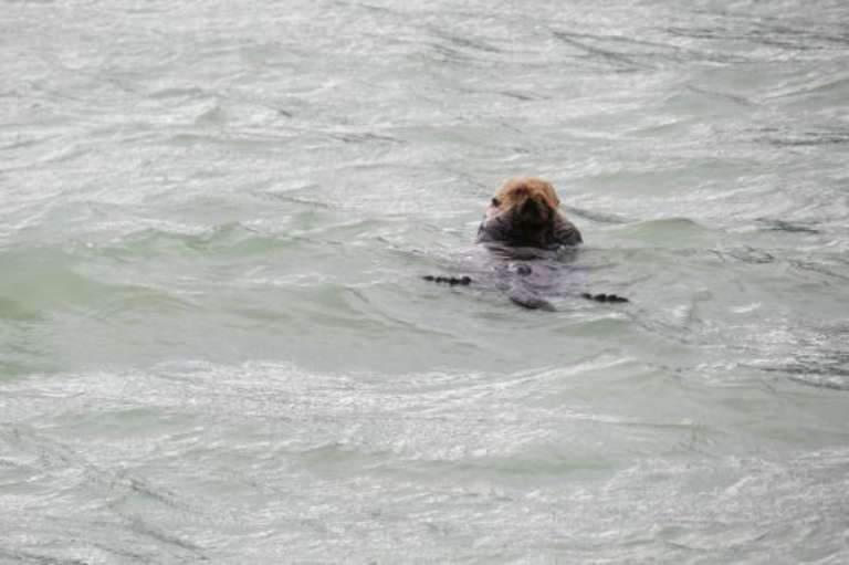 Never Monday Charters