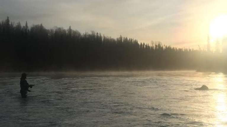 Alaska Kenai Fishing for Fun