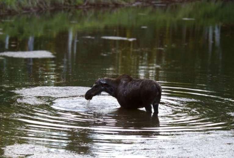 Alaska Fishing and Raft Adventures - Day Tours