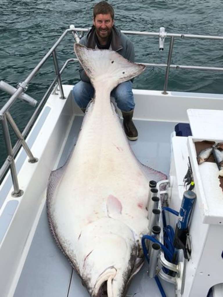 ProFish-n-Sea Charters