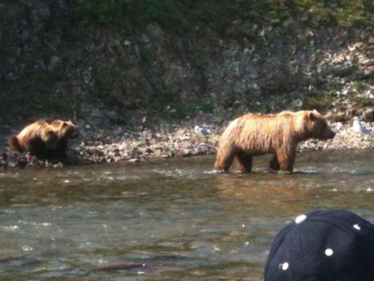 Alaska Ultimate Safaris