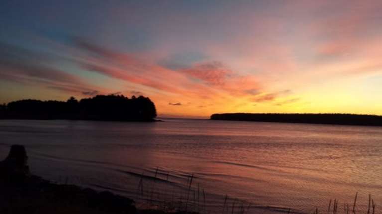 The Kodiak Life Tour