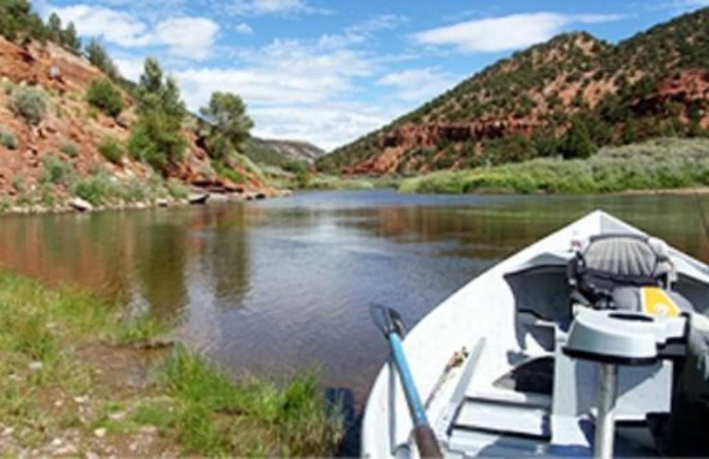 The Colorado Angler
