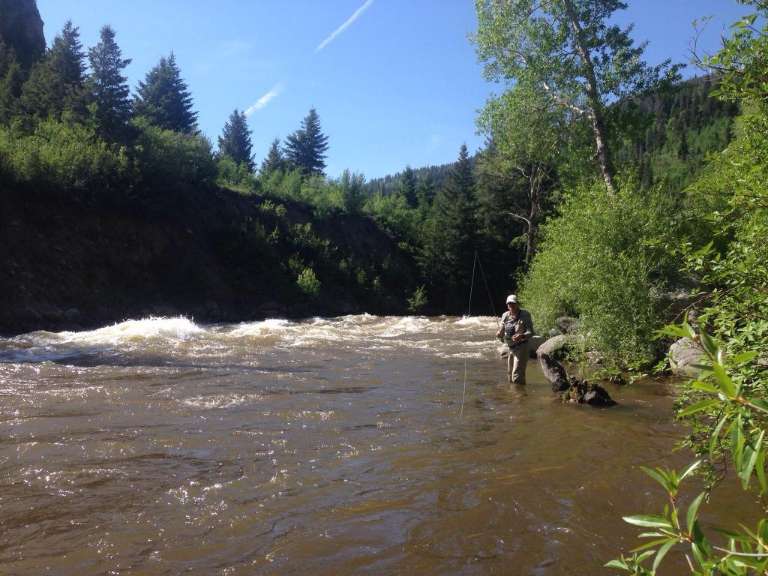 Gore Creek Fly Fisherman