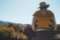 Fly Fishing Colorado