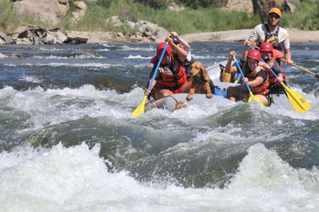 Dvorak Expeditions