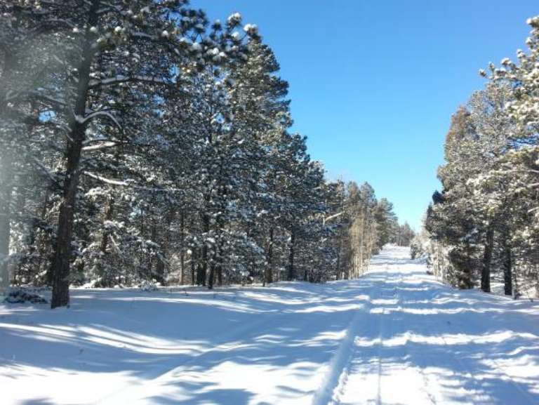 Manitou Springs Adventures, High Country Excursions