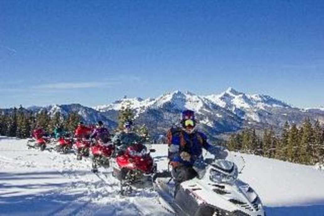 Telluride Outfitters