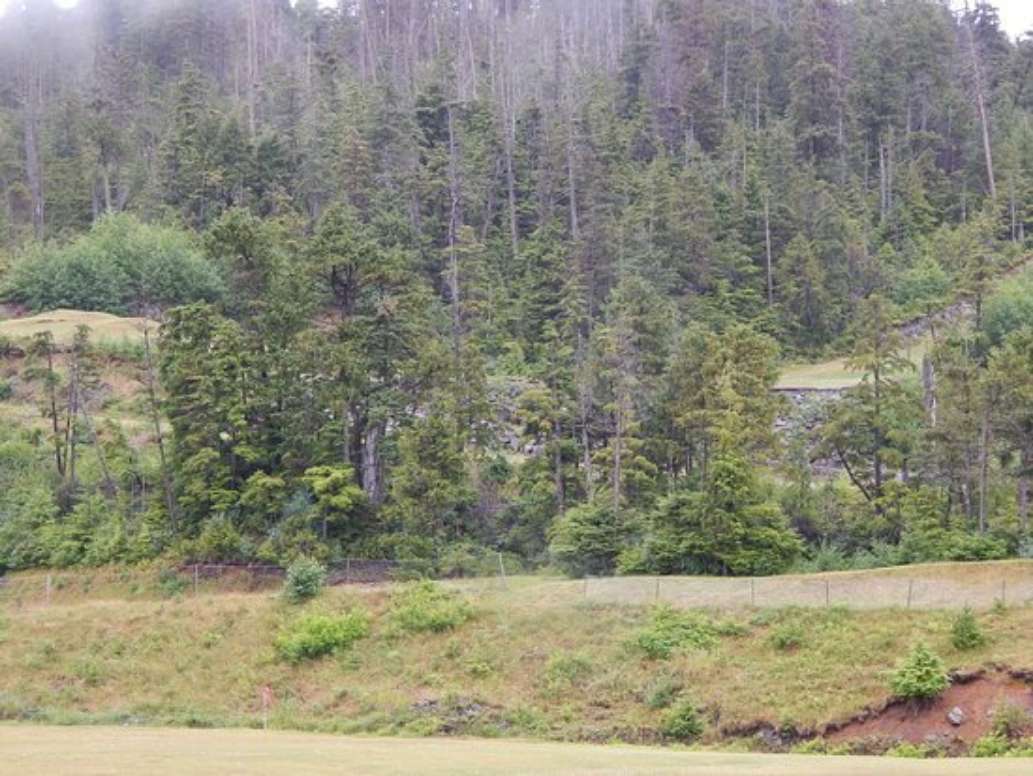 Specialized Tours of Sitka