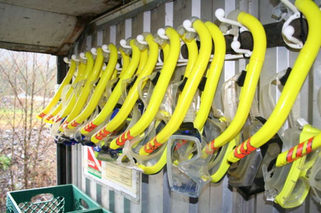 Snorkel Alaska