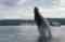 Alaska Fjordlines