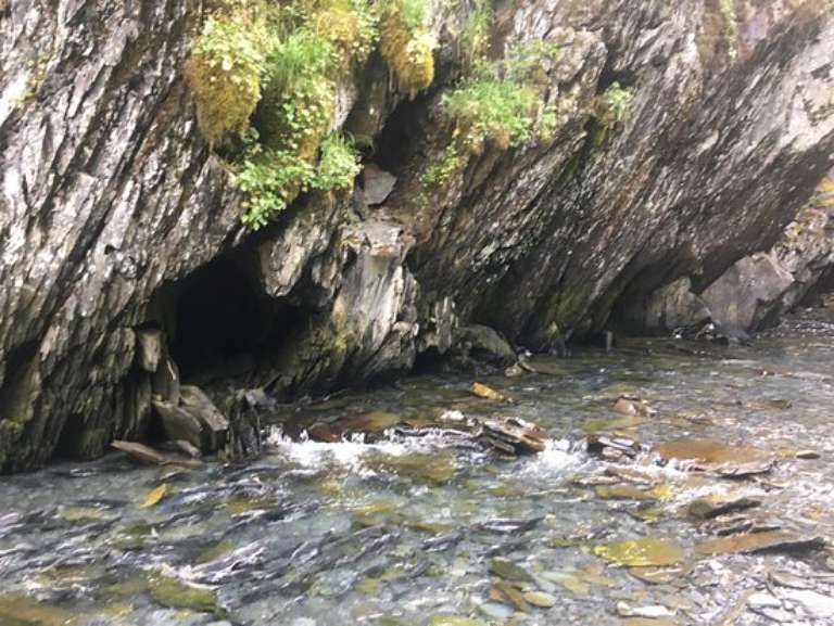 Alaska Sea Kayakers - Day Trips