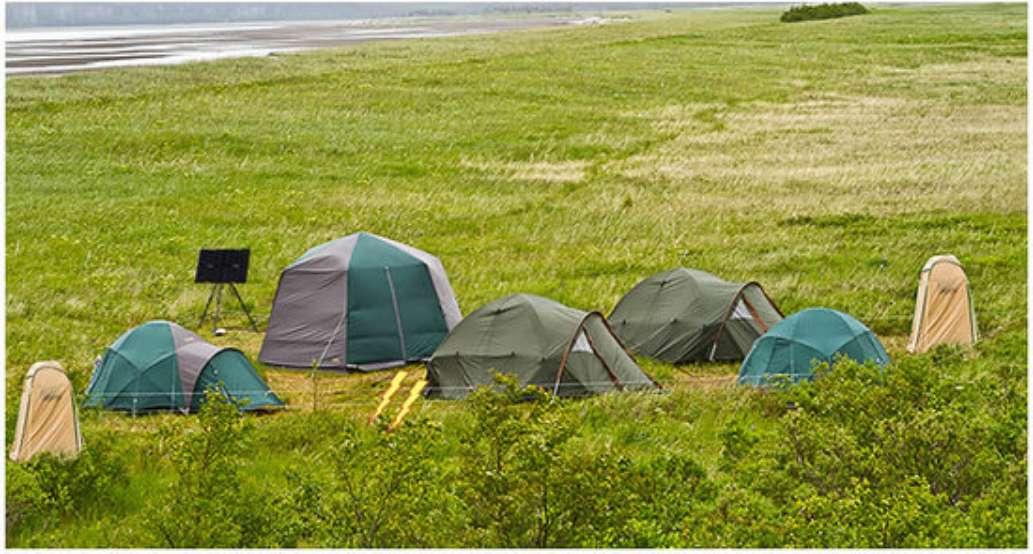 Alaska Bear Expeditions Bear Viewing Tours