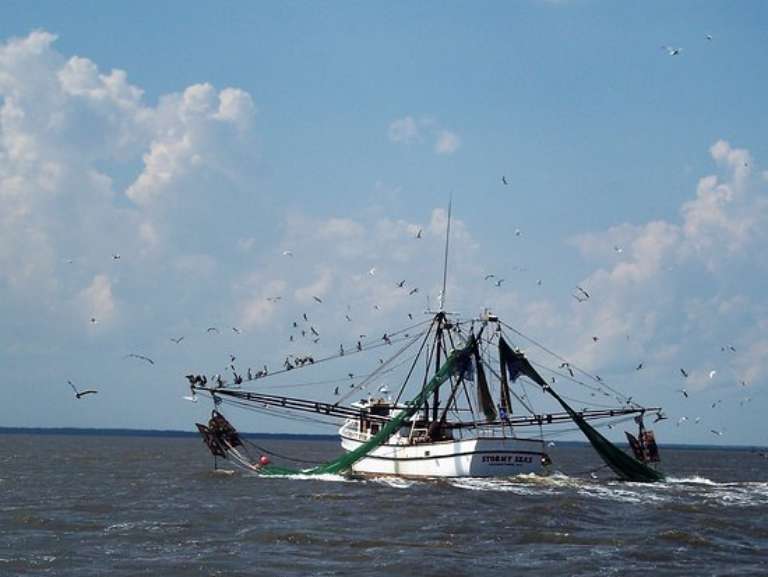 Cap'n Rod's Lowcountry Shell Island & Plantation Tours