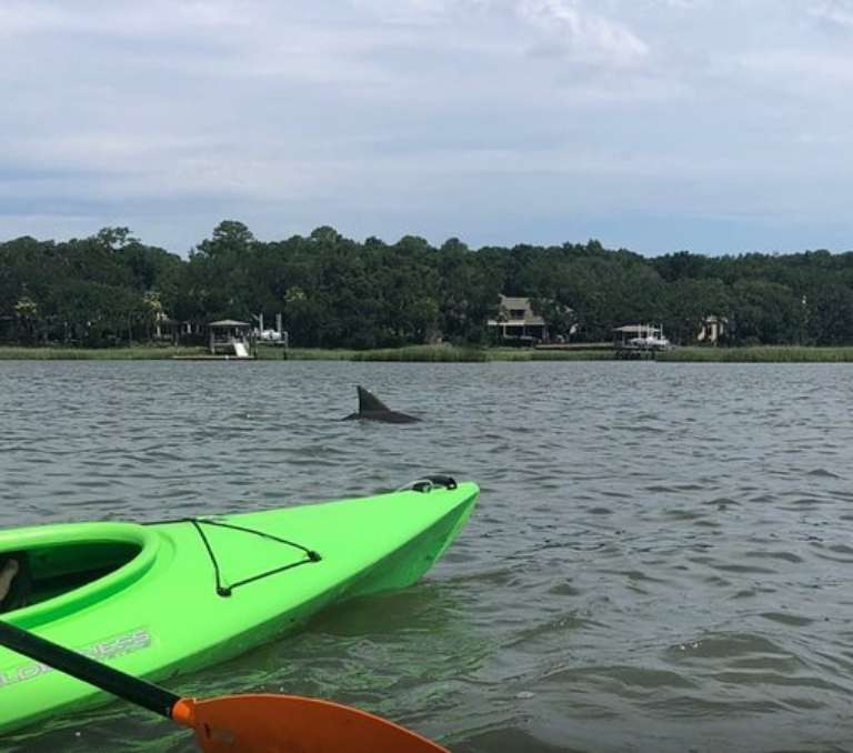 Kayak Hilton Head, Inc.