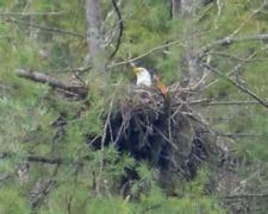 Jocassee Lake Tours