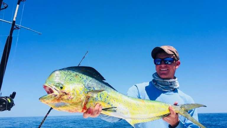 Charleston Reel Adventures