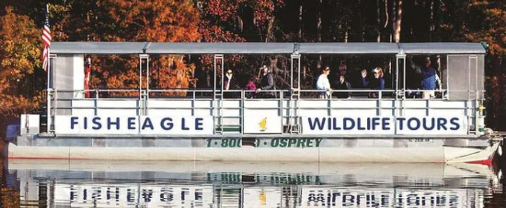 Fisheagle Wildlife Tours
