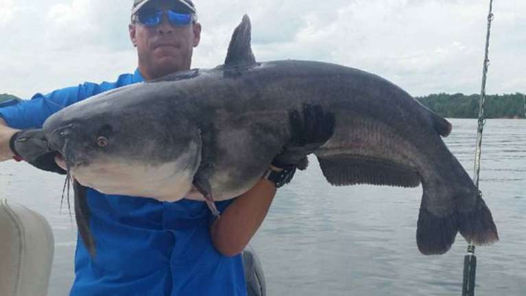 Big Tennessee Adventures