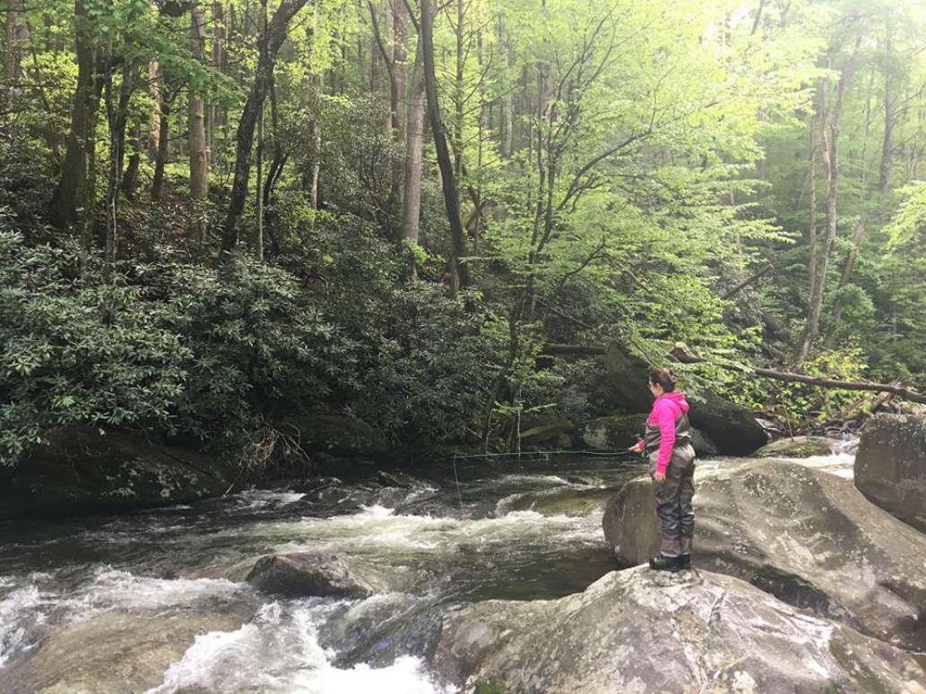 Smoky Mountain Angler