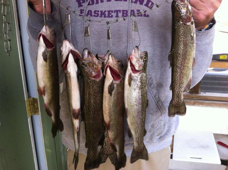 Bucksnort Trout Ranch