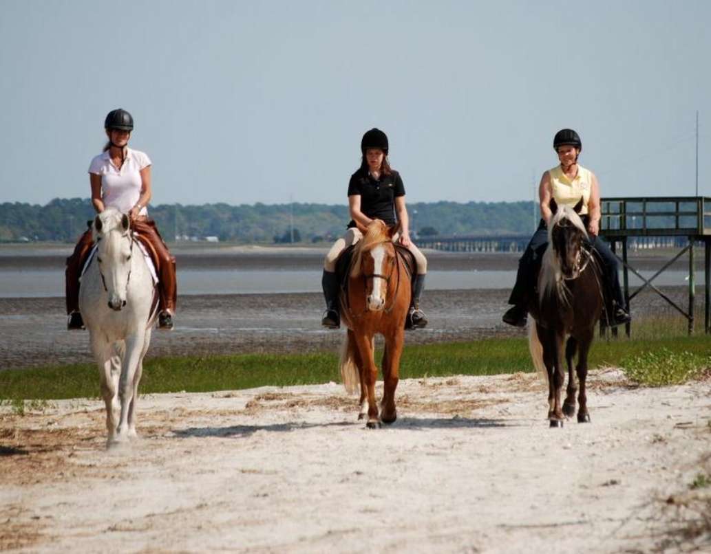 Camelot Farms Equestian Center