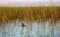 Myrtle Beach Guide Service Fishing Charters