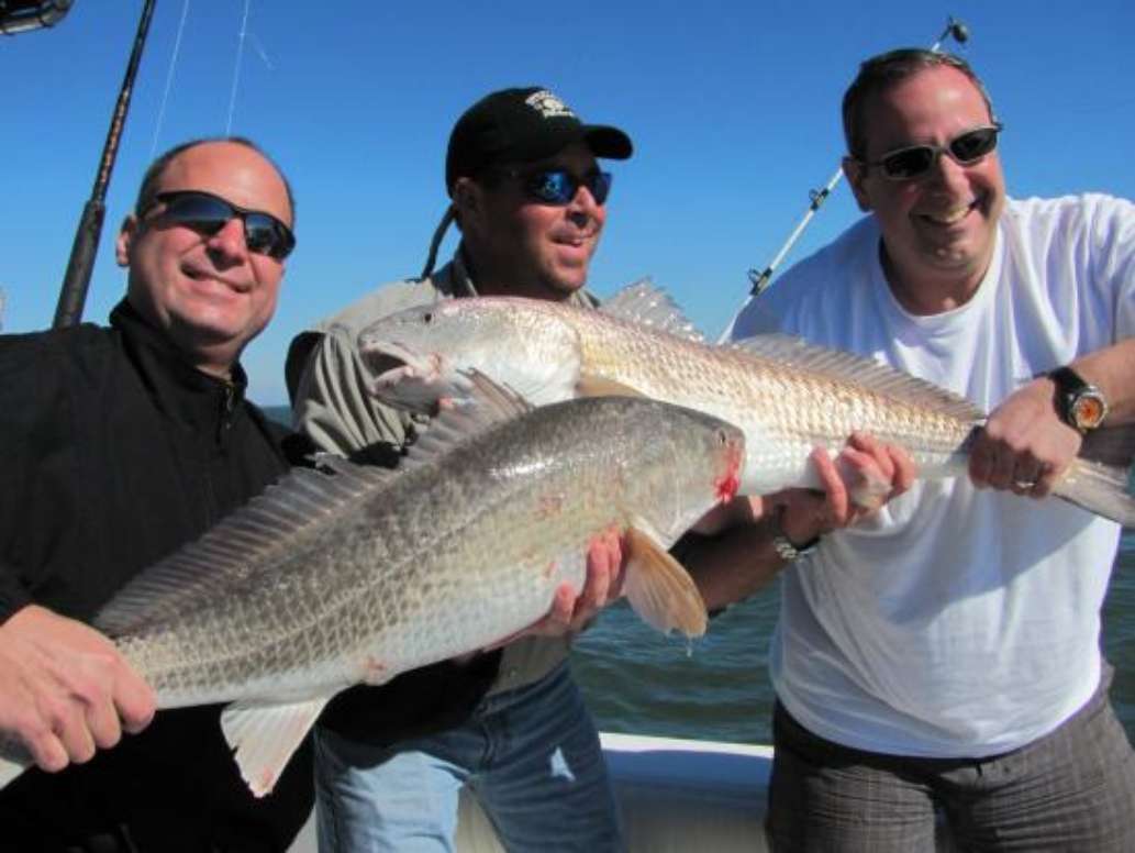 Stray Cat Charters