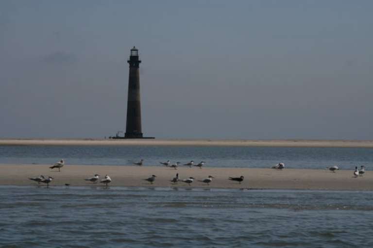 Absolute Reel Screamer Charters