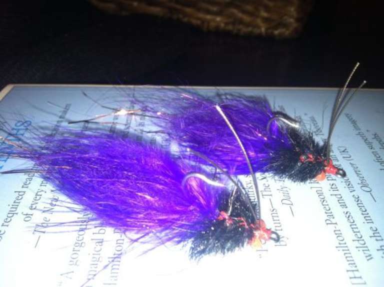 Kingfisher Guide Service