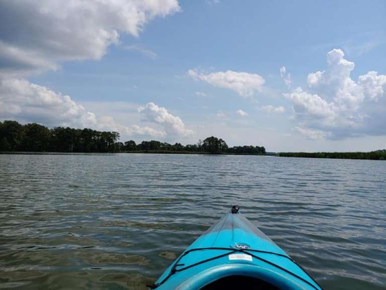 Blackwater Adventures