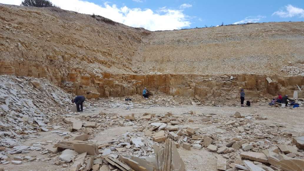 Fossil Safari at Warfield Fossil Quarries