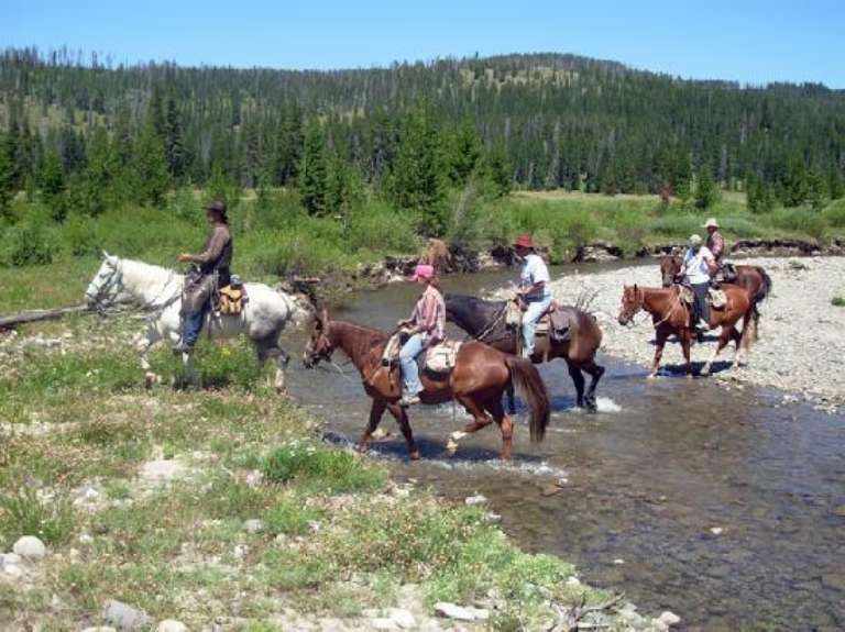 Wilderness Trails, Inc. Day Tours