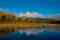 Wild Things of Wyoming