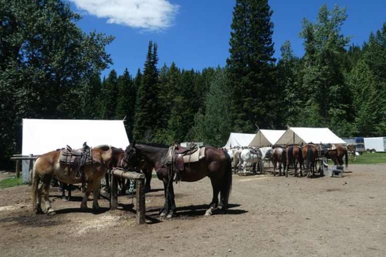 Swift Creek Outfitters & Teton Horseback Adventures