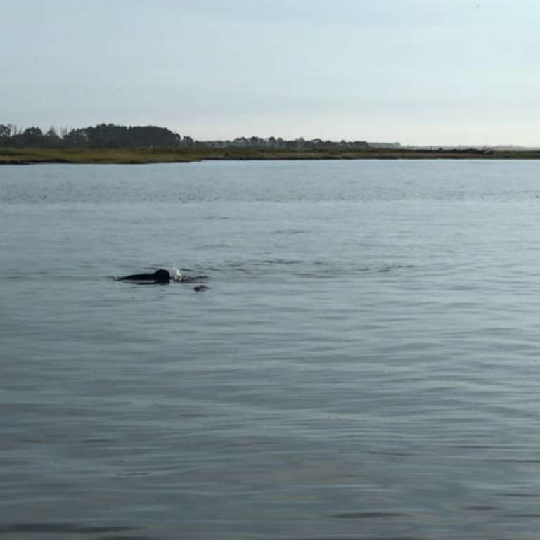 Island Queen Inland Charters, LLC