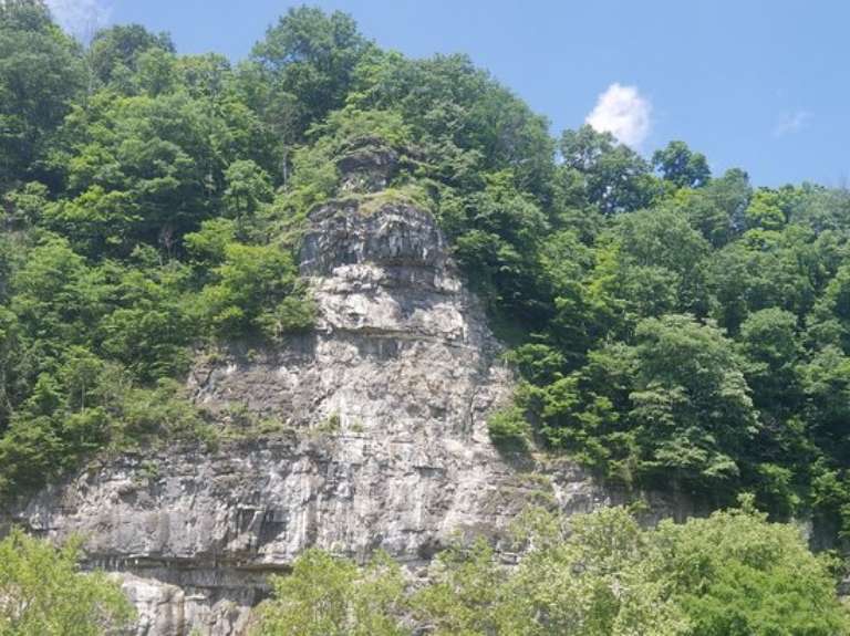 Tangent Outfitters - Day Tours