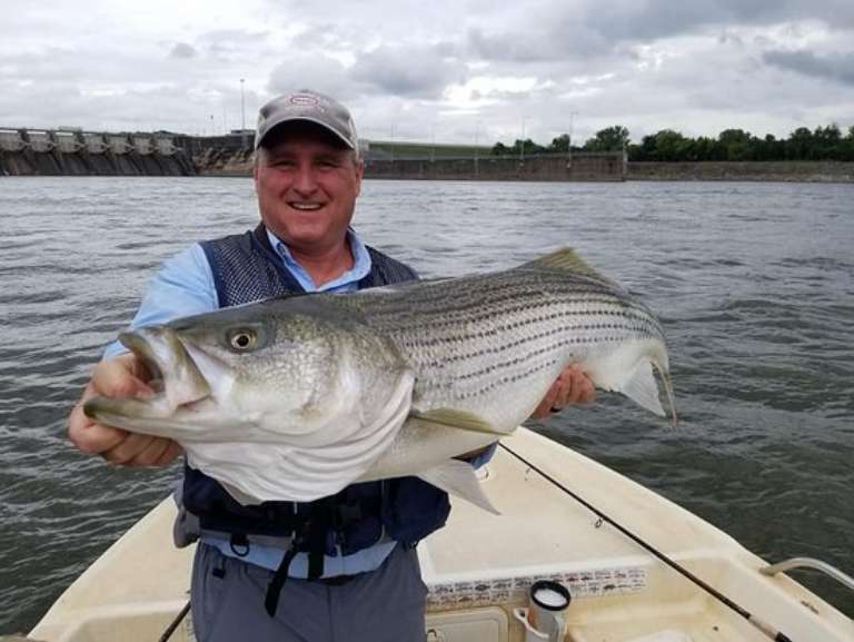 Fish On! Guided Tours
