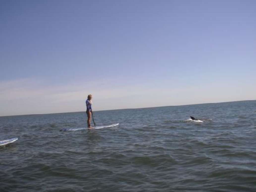 Beach Eco Tours