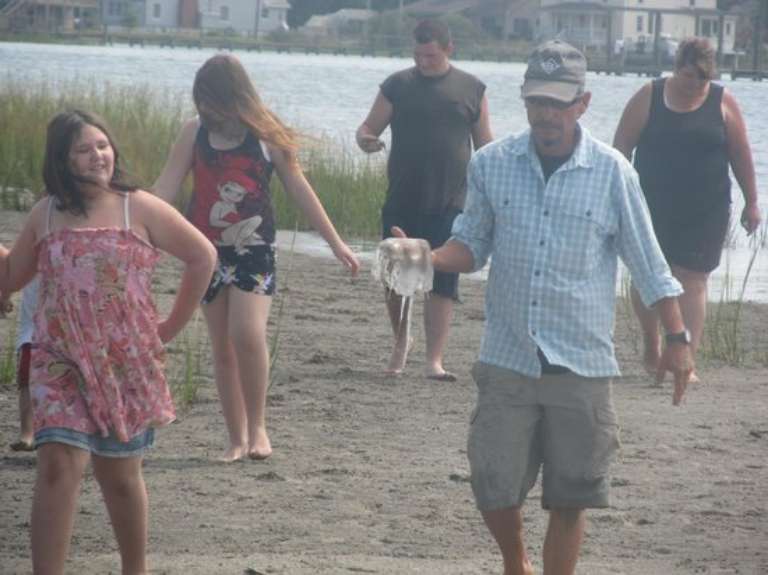 Captain Barry's BackBay Cruises