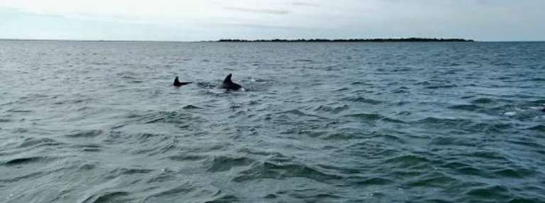 Chesapeake Bay Adventures