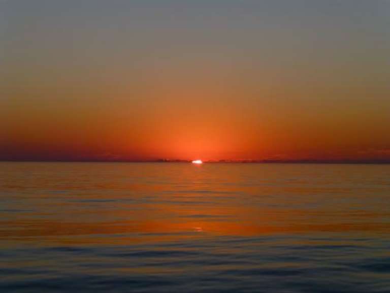 Sinbad Sportfishing Charters