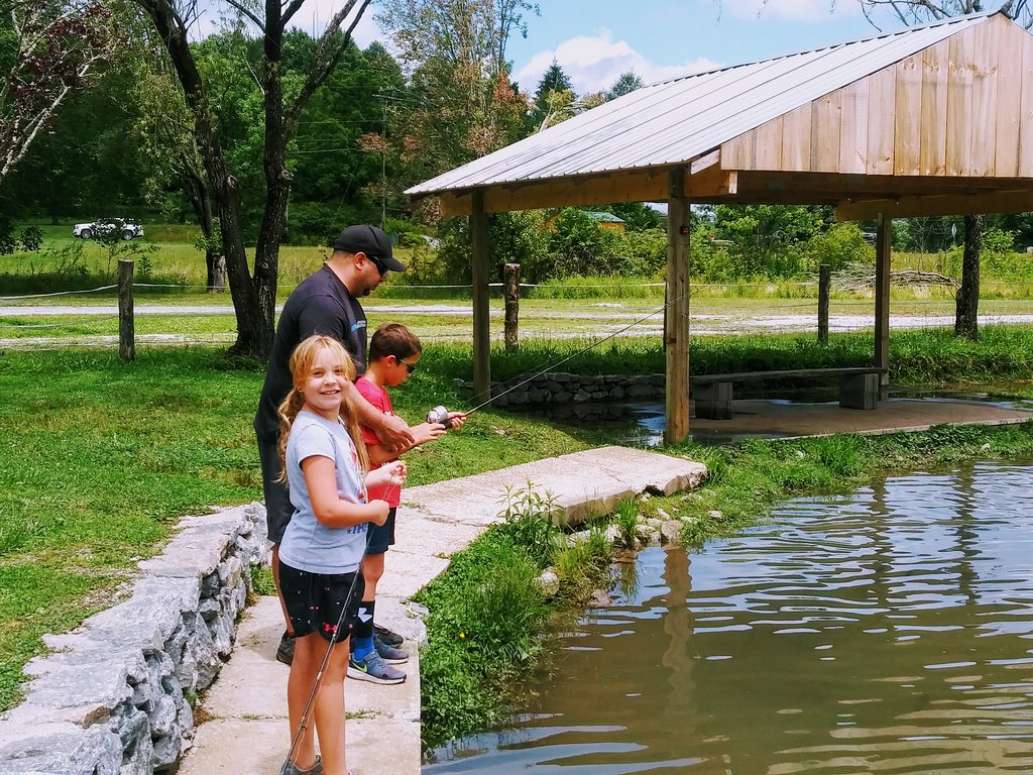 Morgan Mill and Balsam Grove Trout Fishing
