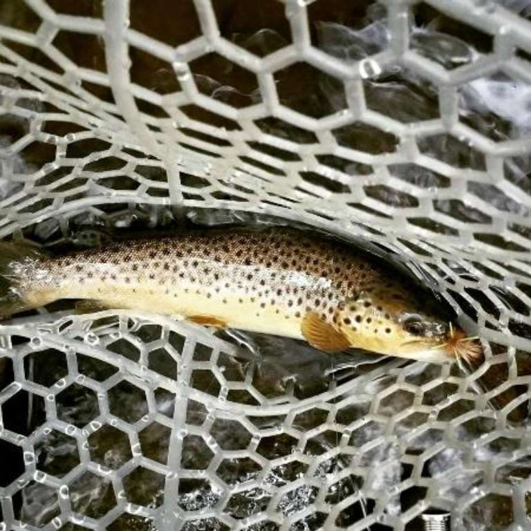 Blackrock Outdoor Company