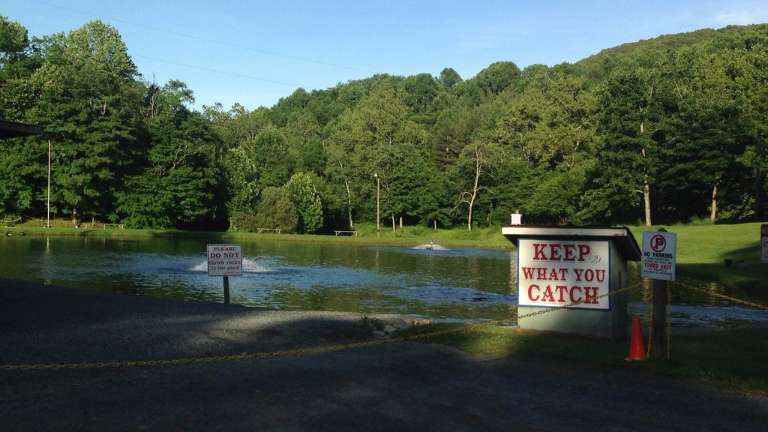 Grandfather Trout Farm