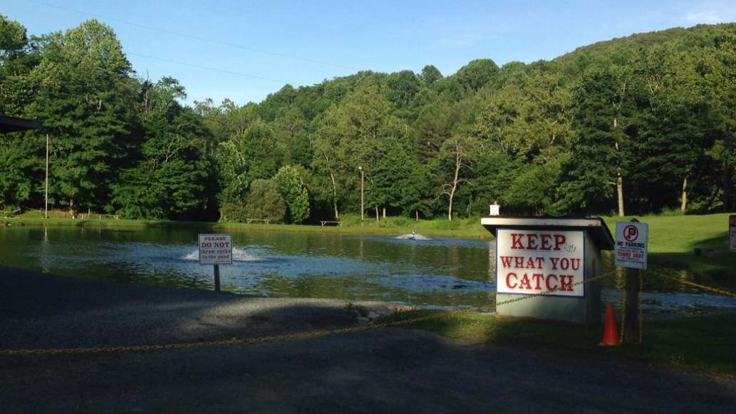 Grandfather Trout Farm